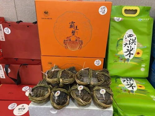 刚刚通知！泗洪全城招募中医养生保健服务，解锁健康好生活